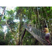 3D2N Full Board National Park (Taman Negara) Ex-KL